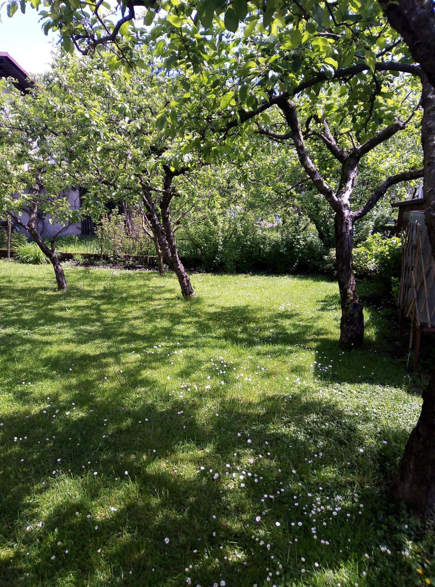 Apartma Rutar Tolmin Extérieur photo